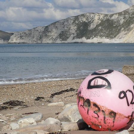 Home In Dorset, Near Jurassic Coast And Arne แวร์แรม ภายนอก รูปภาพ