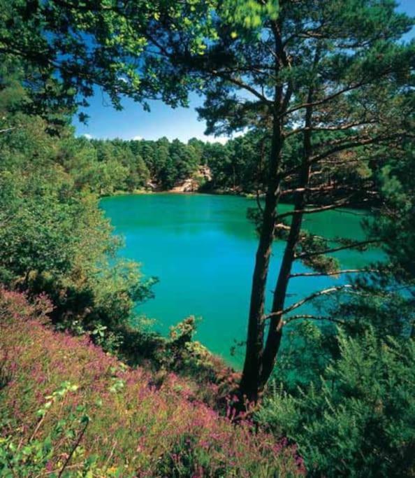 Home In Dorset, Near Jurassic Coast And Arne แวร์แรม ภายนอก รูปภาพ
