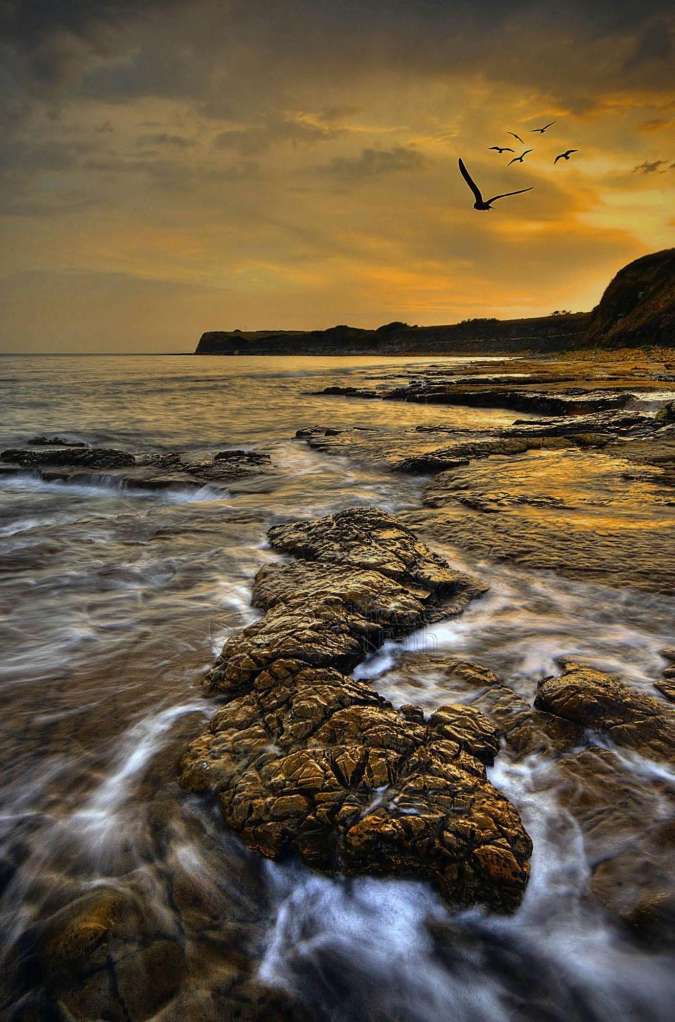 Home In Dorset, Near Jurassic Coast And Arne แวร์แรม ภายนอก รูปภาพ